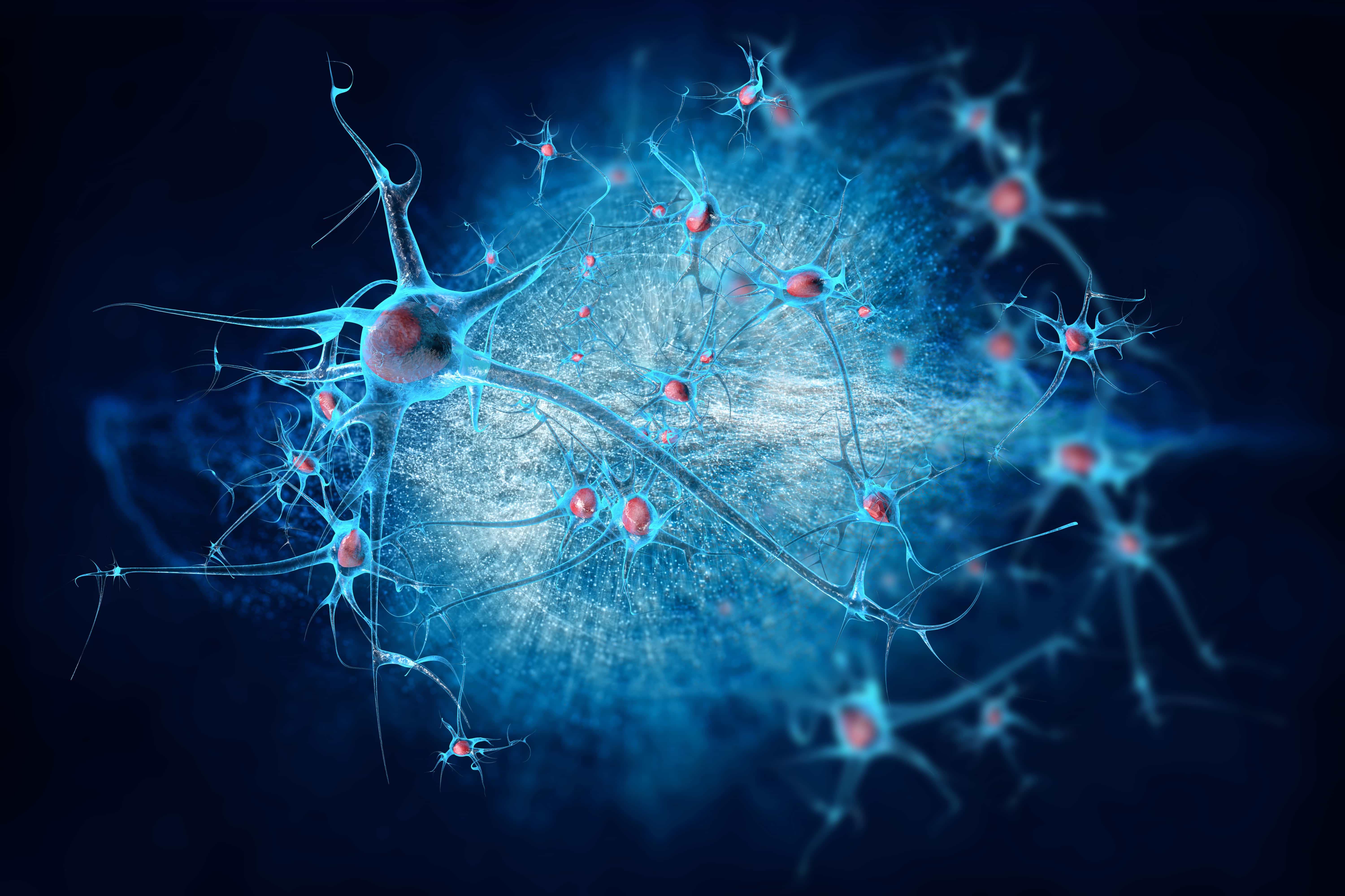 Brain neurons. Нейрон клетка головного мозга. Нейронные клетки головного мозга. Нейронные связи в мозге. Нейрон красивый.